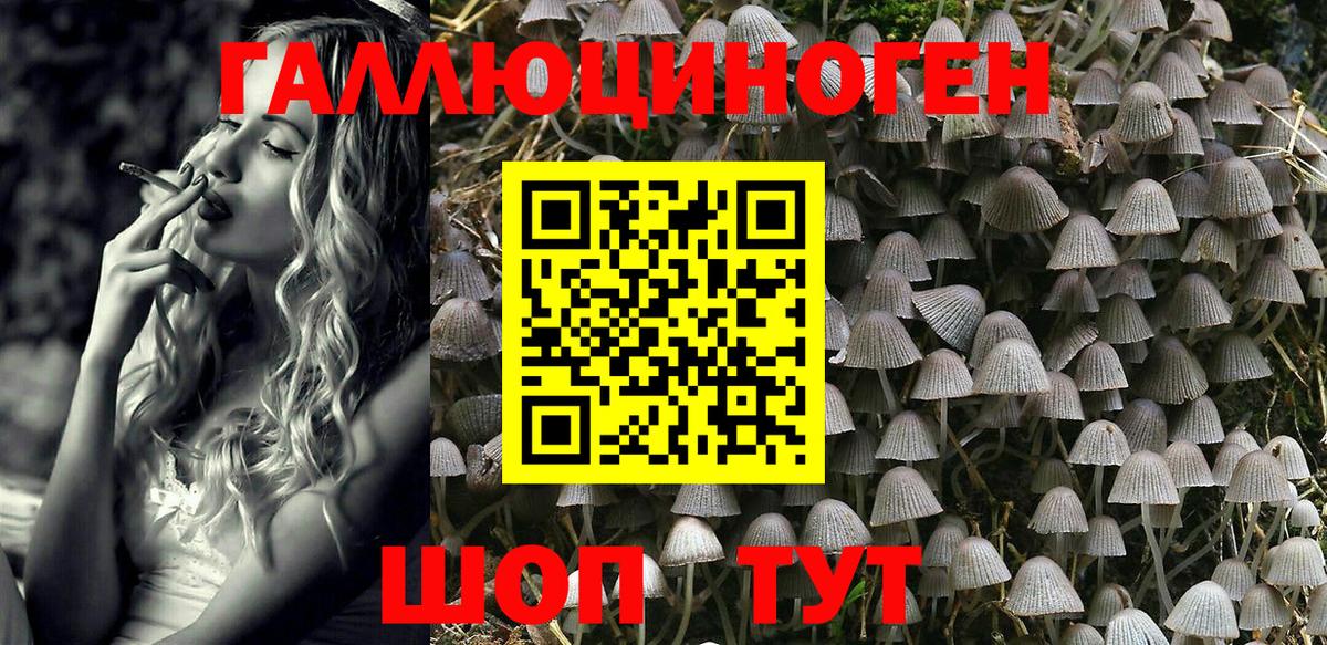 Псилоцибиновые грибы GOLDEN TEACHER Ухта