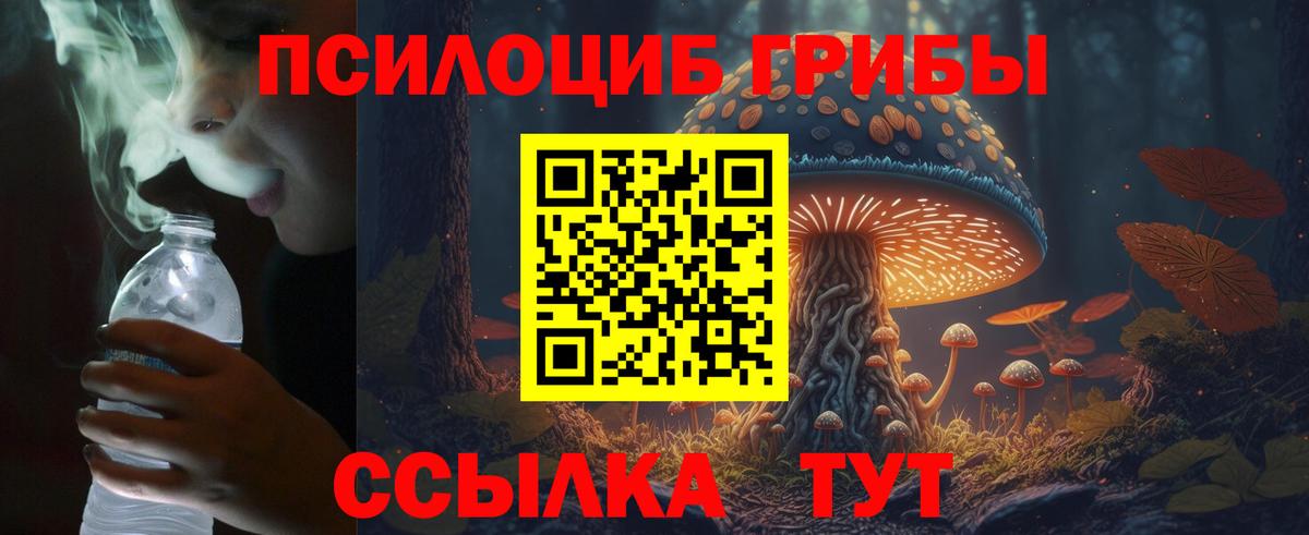 Псилоцибиновые грибы прущие грибы  Галлюциногенные грибы прущие грибы  Ухта  Вход с VPN 